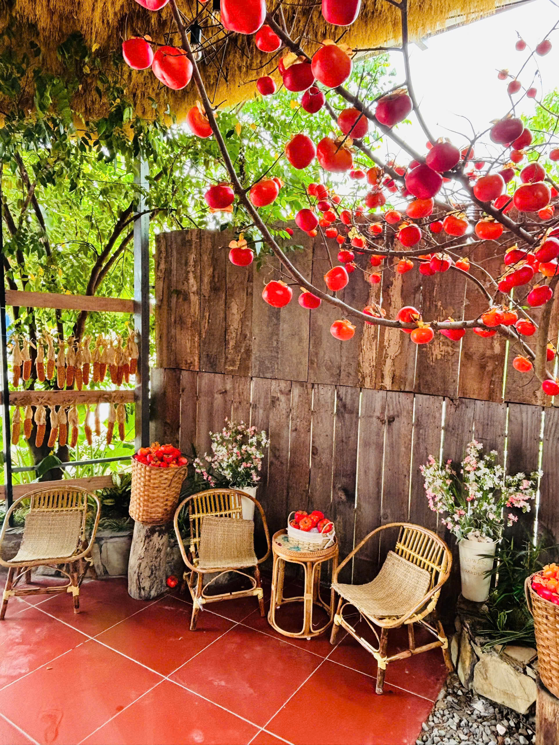 Góc trang trí hồng đỏ, ghế mây