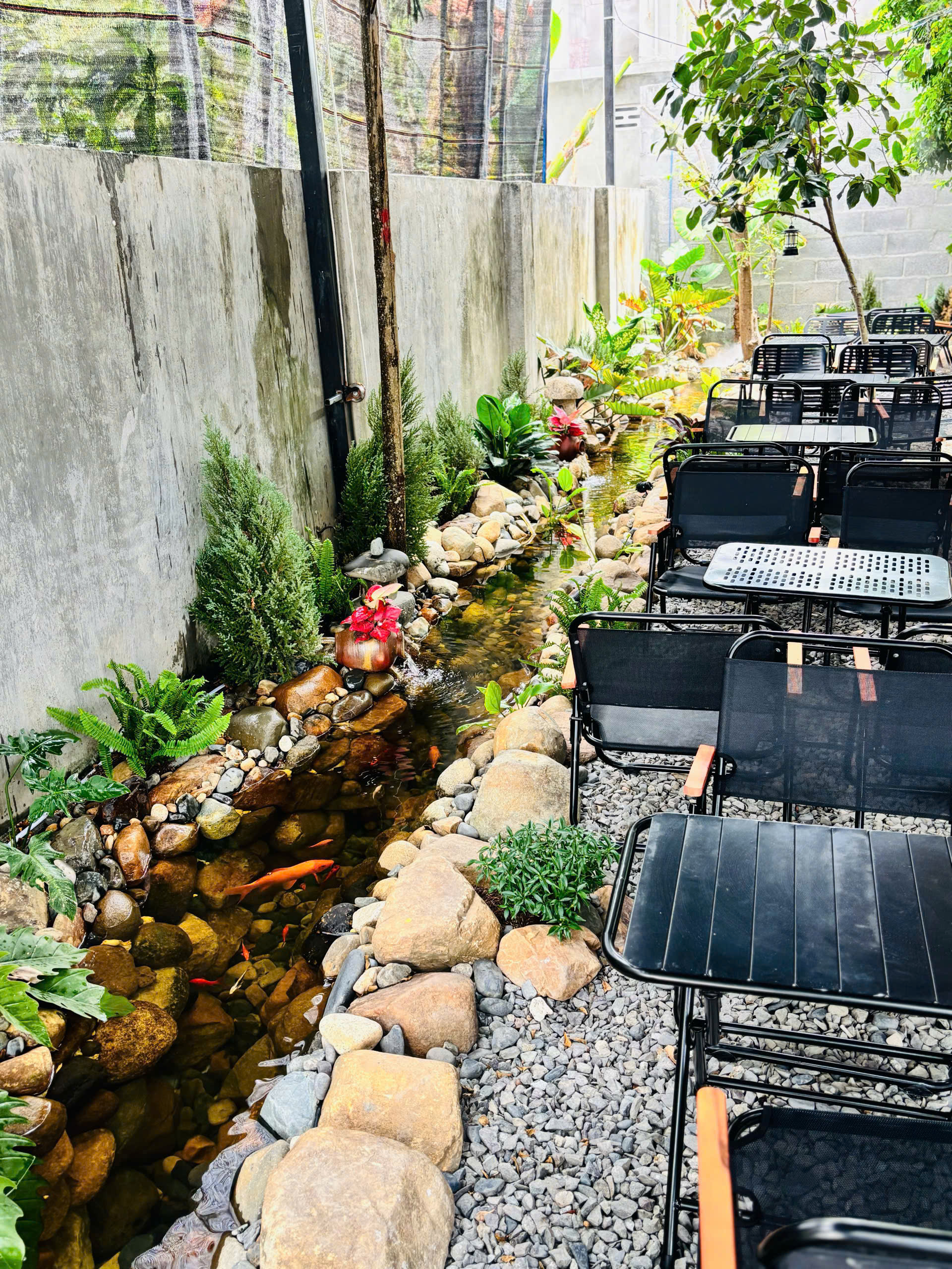 Suối và hồ cá koi trong quán